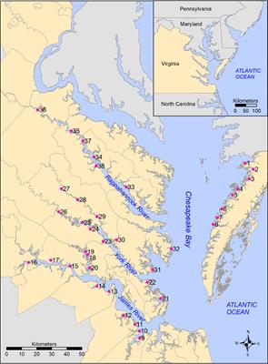 Enhancing assessments of blue carbon stocks in marsh soils using Bayesian mixed-effects modeling with spatial autocorrelation — proof of concept using proxy data